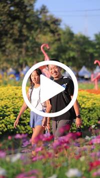 BIB:  <button type="button" onclick="openModal(27588680)" class="btn btn-primary btn-sm float-right" data-toggle="modal" data-target=".modal-high-quality">
                <i class="fa fa-download"></i> Download
                </button>